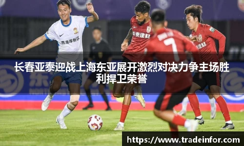 yy易游
