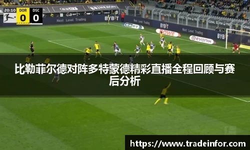 yy易游
