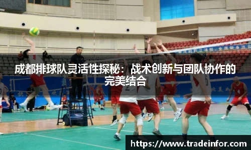 yy易游